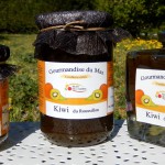 Trio-Confiture-Kiwi-MDA